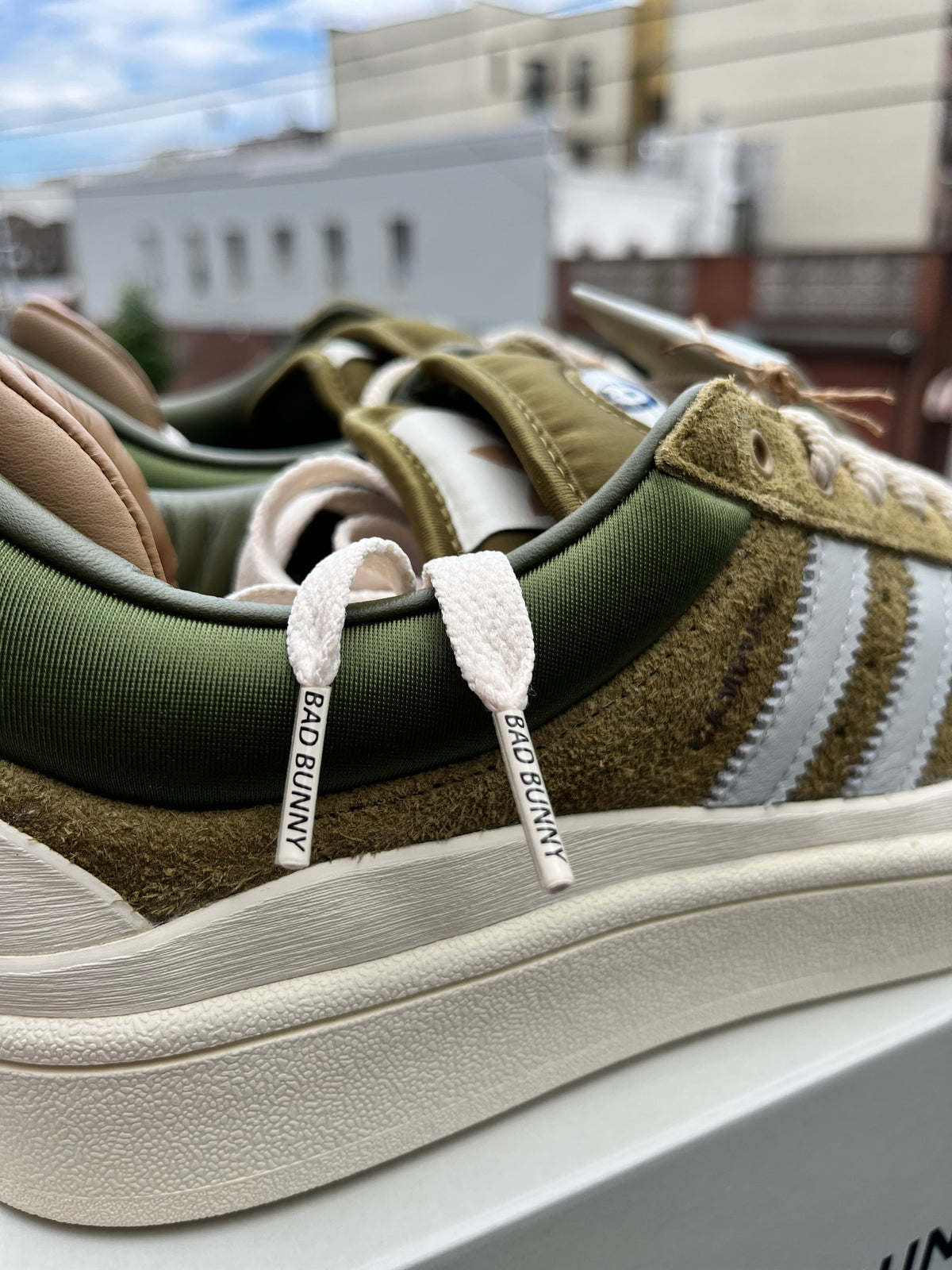 Adidas X Bad bunny Campus WILDMOSS