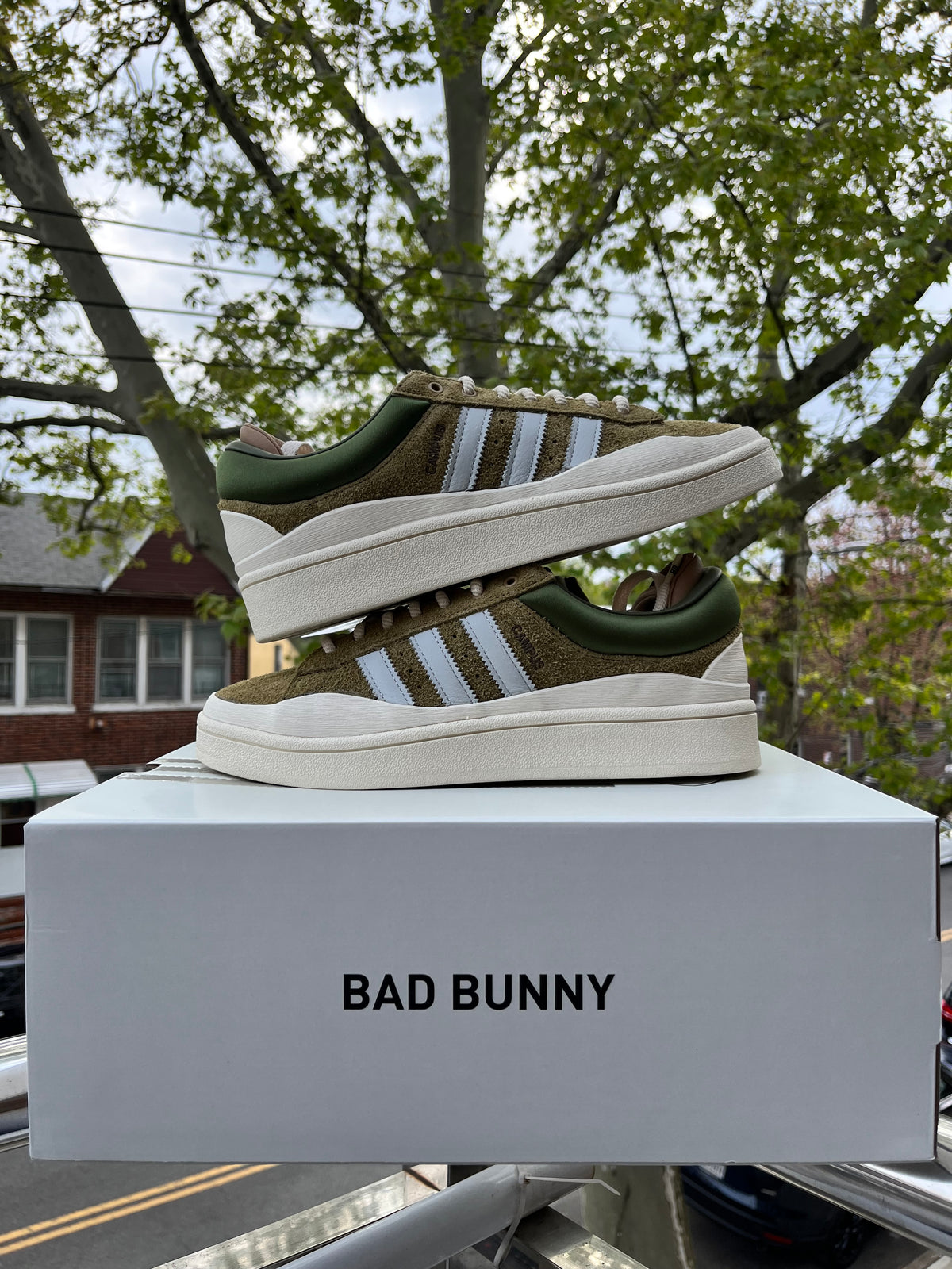 Adidas X Bad bunny Campus WILDMOSS