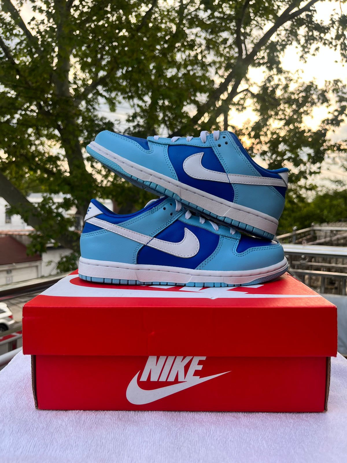 Nike dunk low ARGON