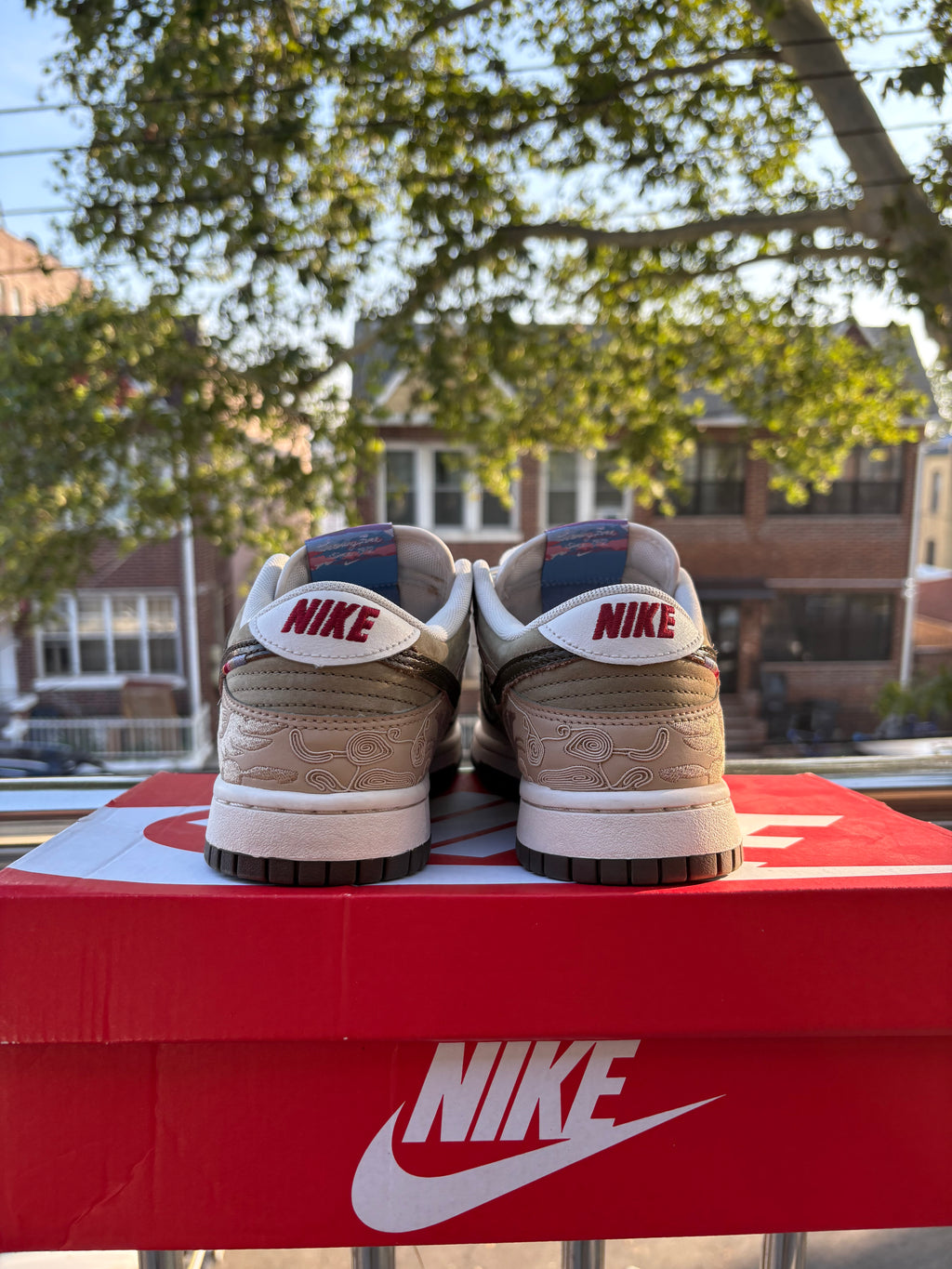 Nike dunk low PEGASUS
