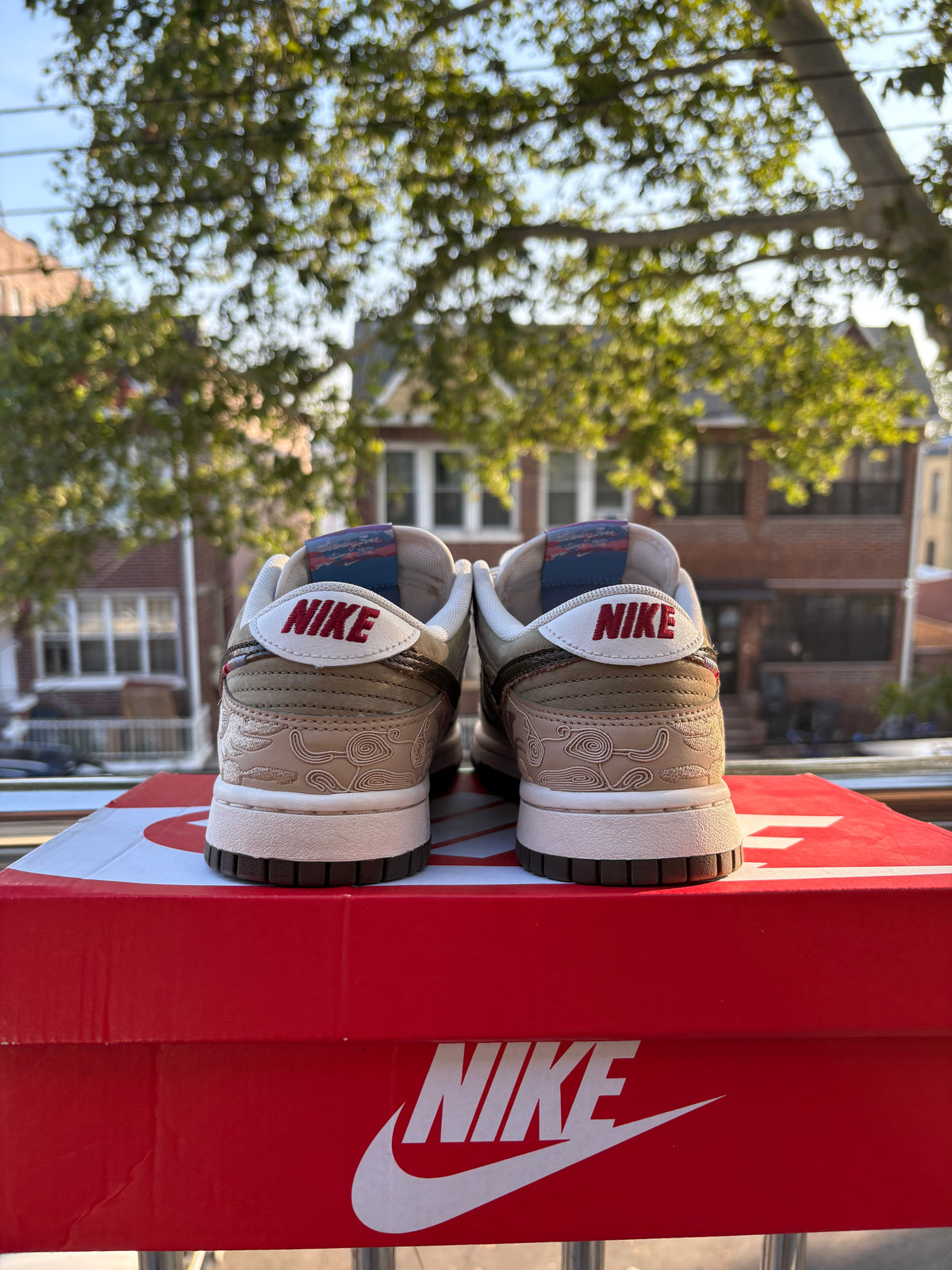 Nike dunk low PEGASUS