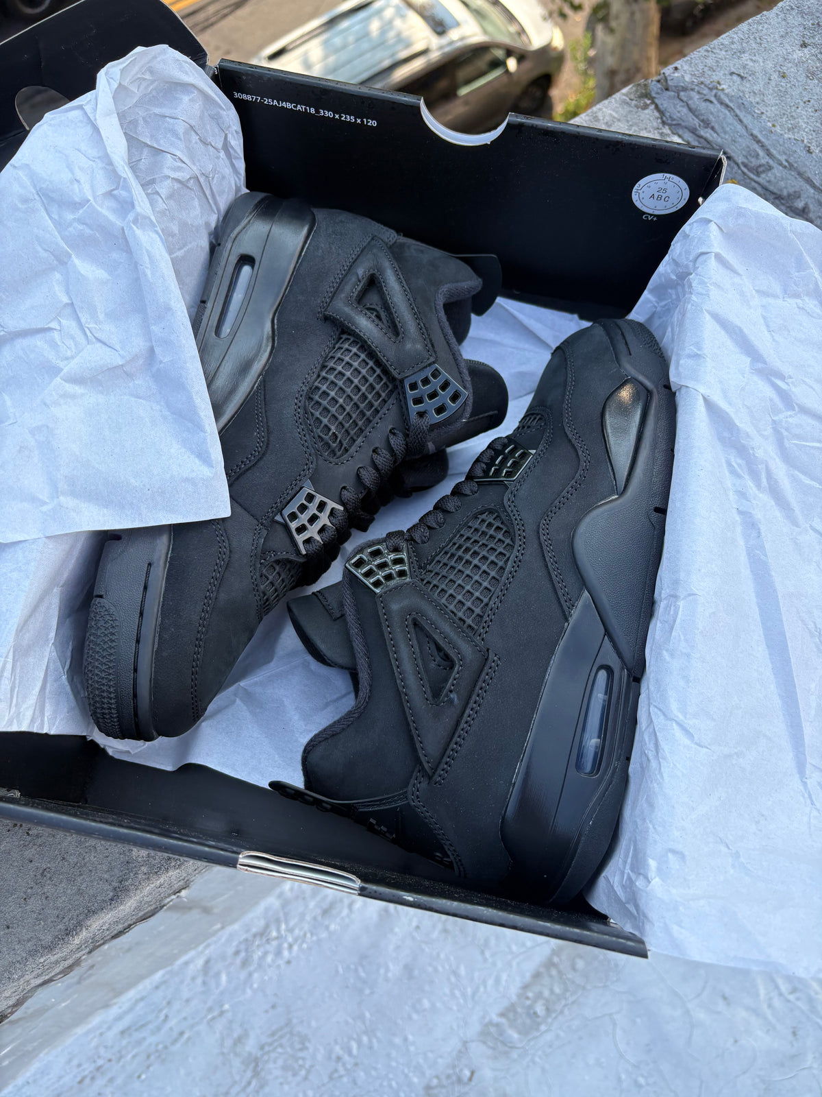 Air Jordan 4 Retro BLACK CAT