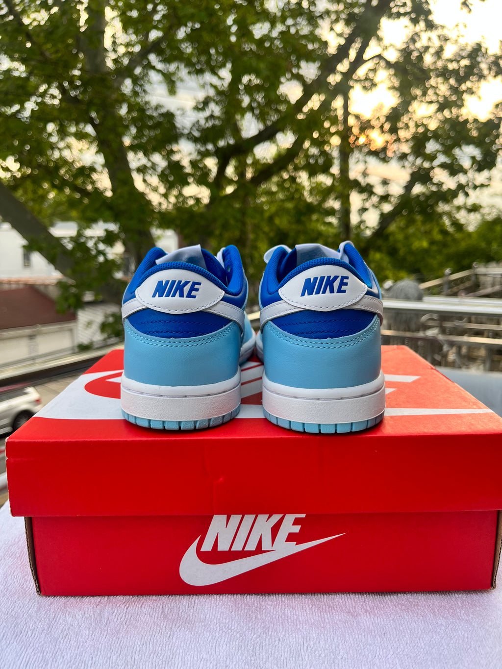 Nike dunk low ARGON