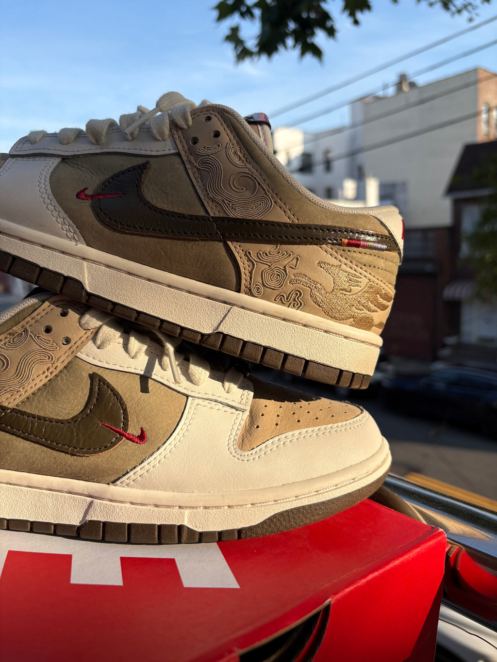 Nike dunk low PEGASUS