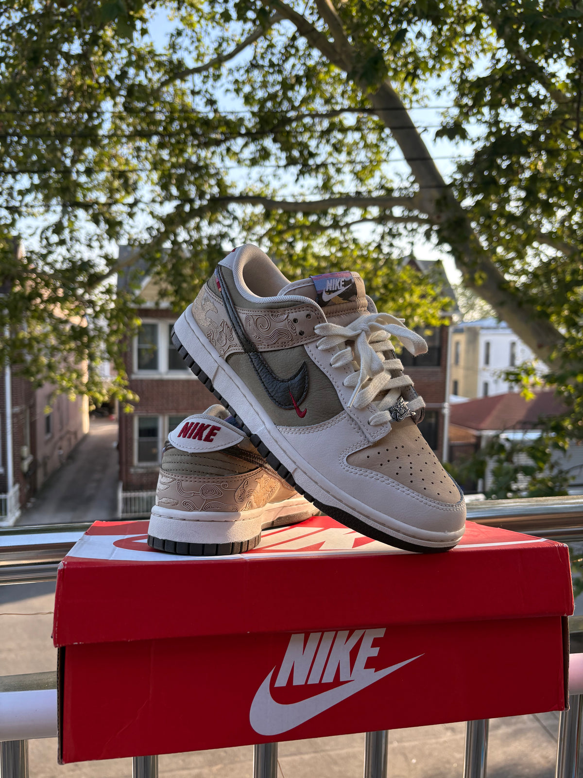 Nike dunk low PEGASUS