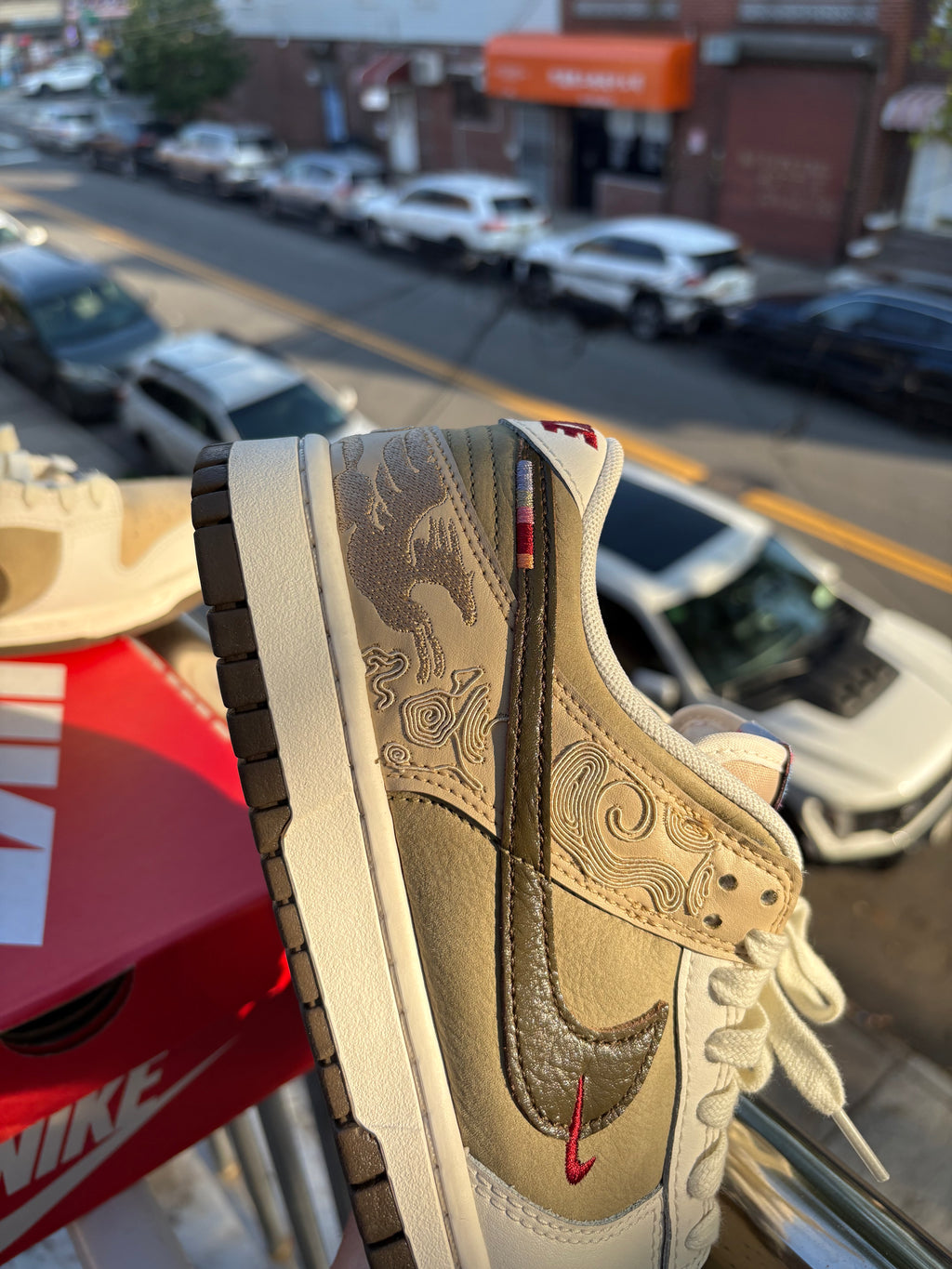 Nike dunk low PEGASUS
