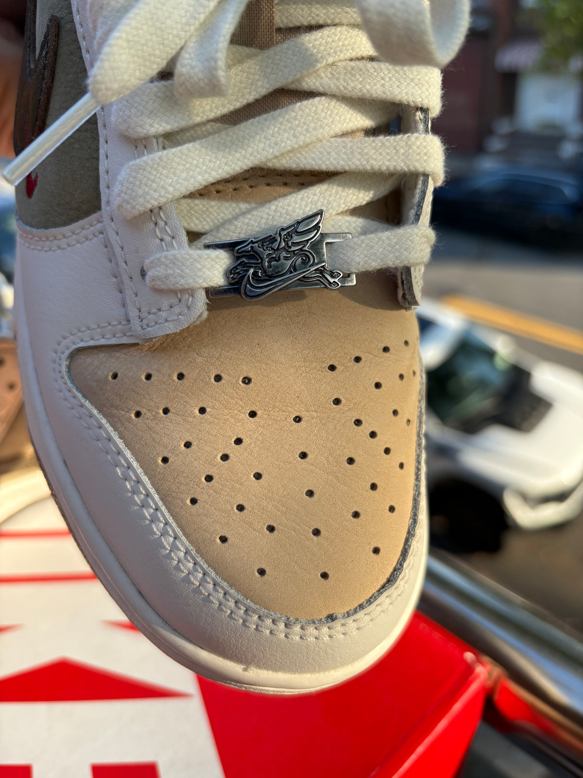 Nike dunk low PEGASUS