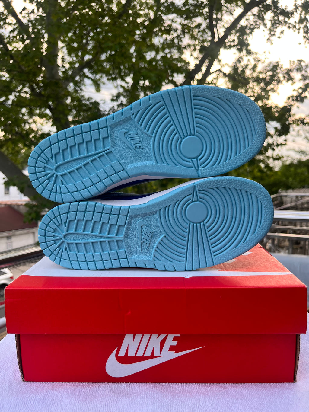 Nike dunk low ARGON
