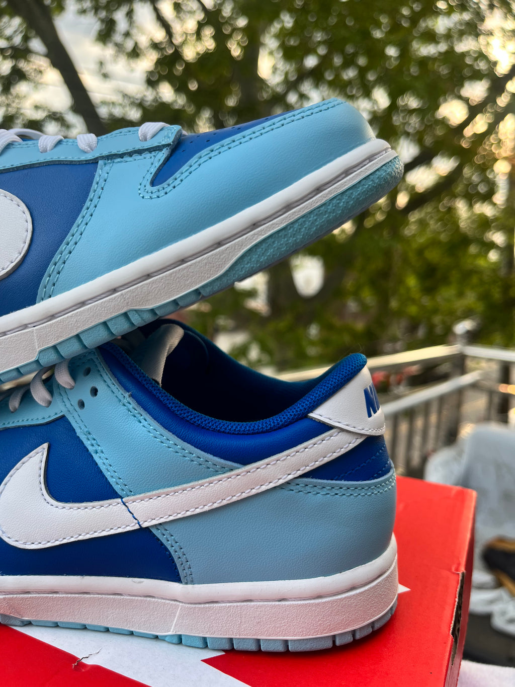 Nike dunk low ARGON