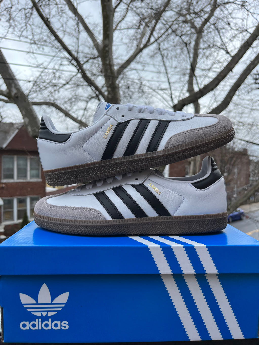 ADIDAS SAMBA