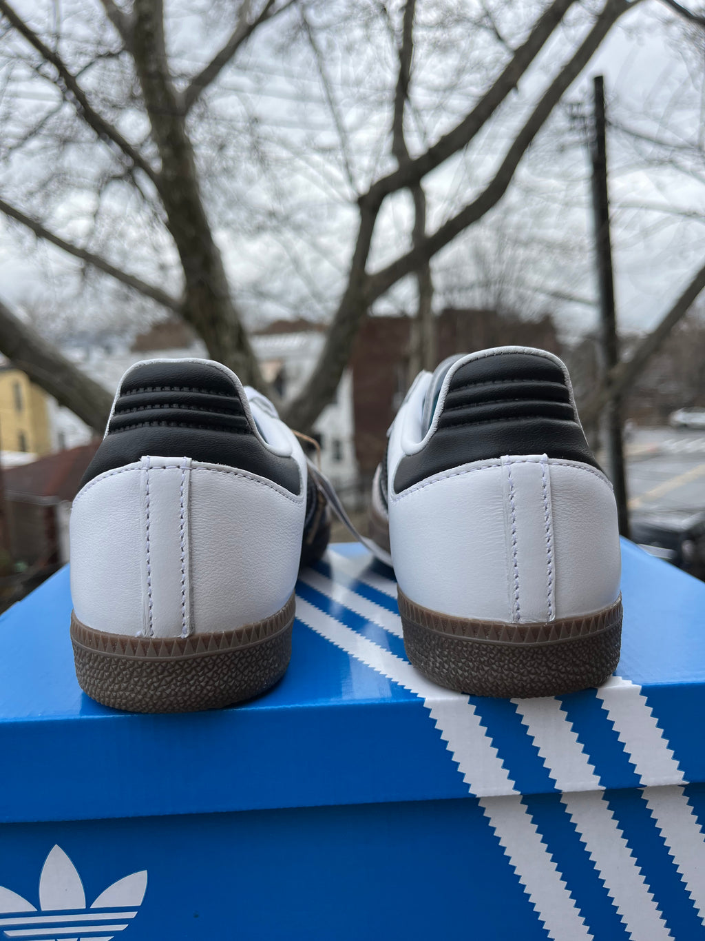 ADIDAS SAMBA