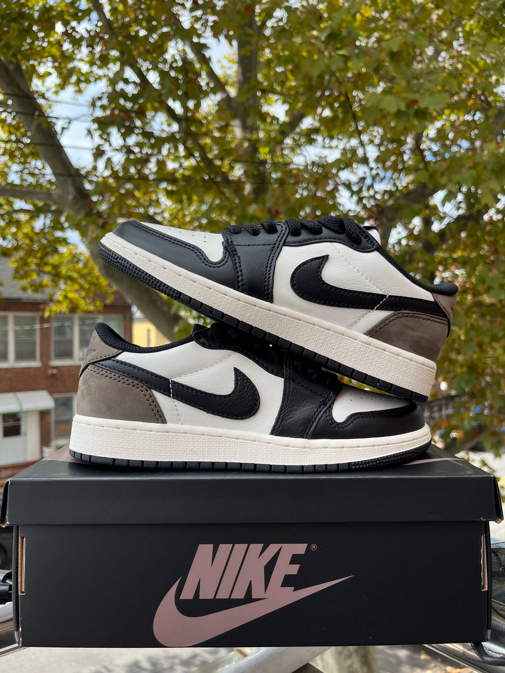 JORDAN 1 LOW MOCHA