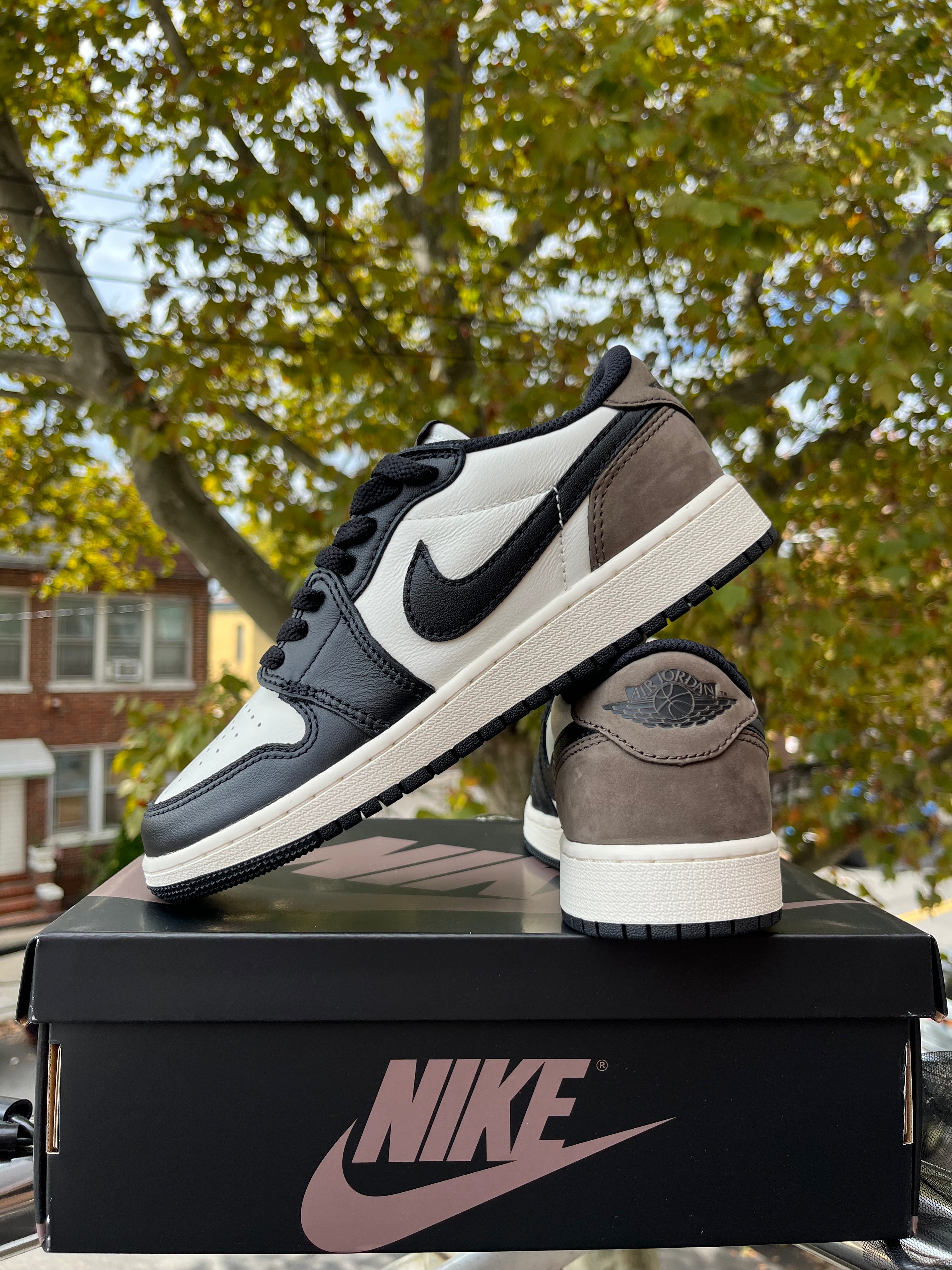 JORDAN 1 LOW MOCHA