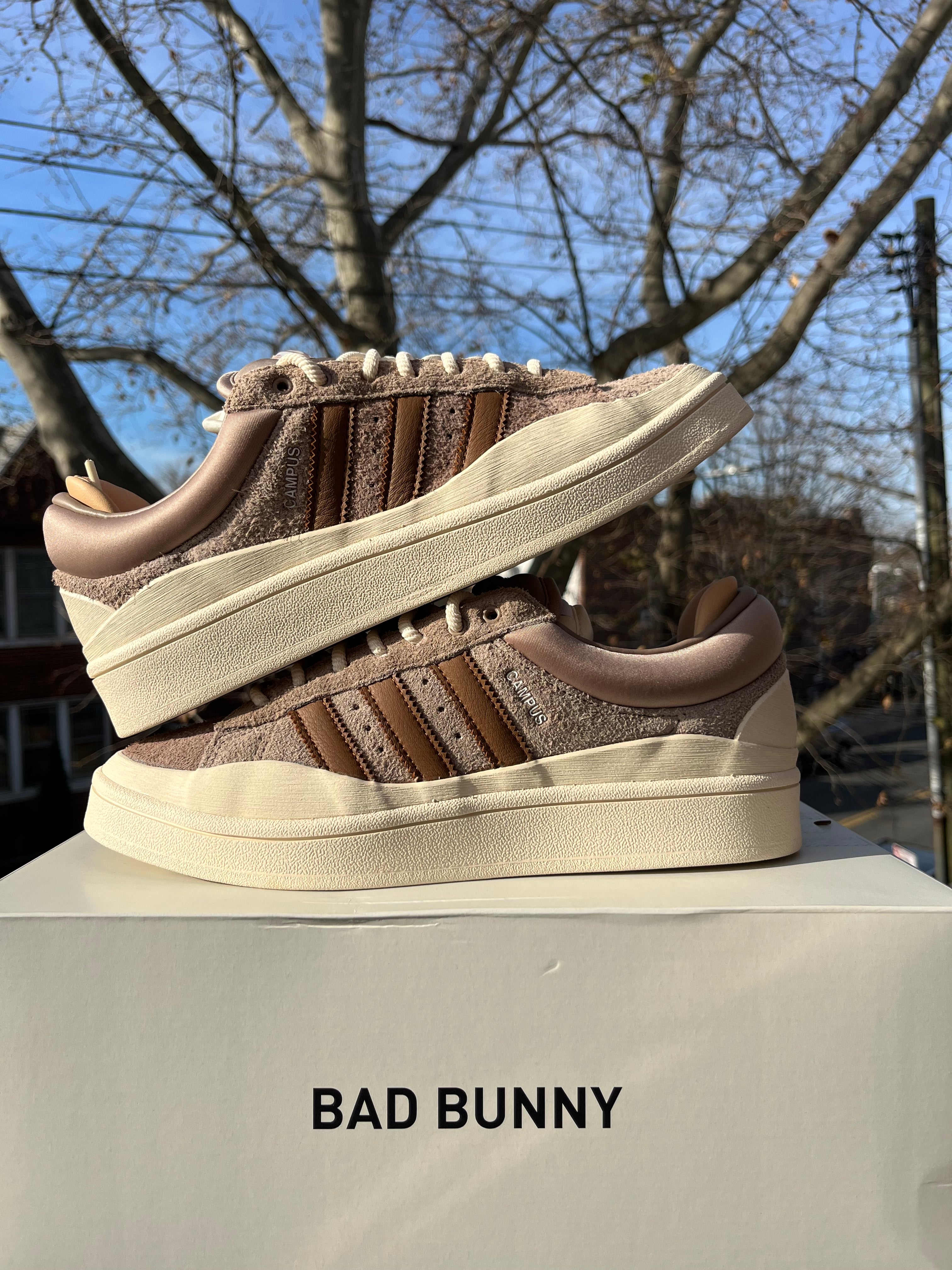 Adidas campus Bad Bunny CHALKY BROWN