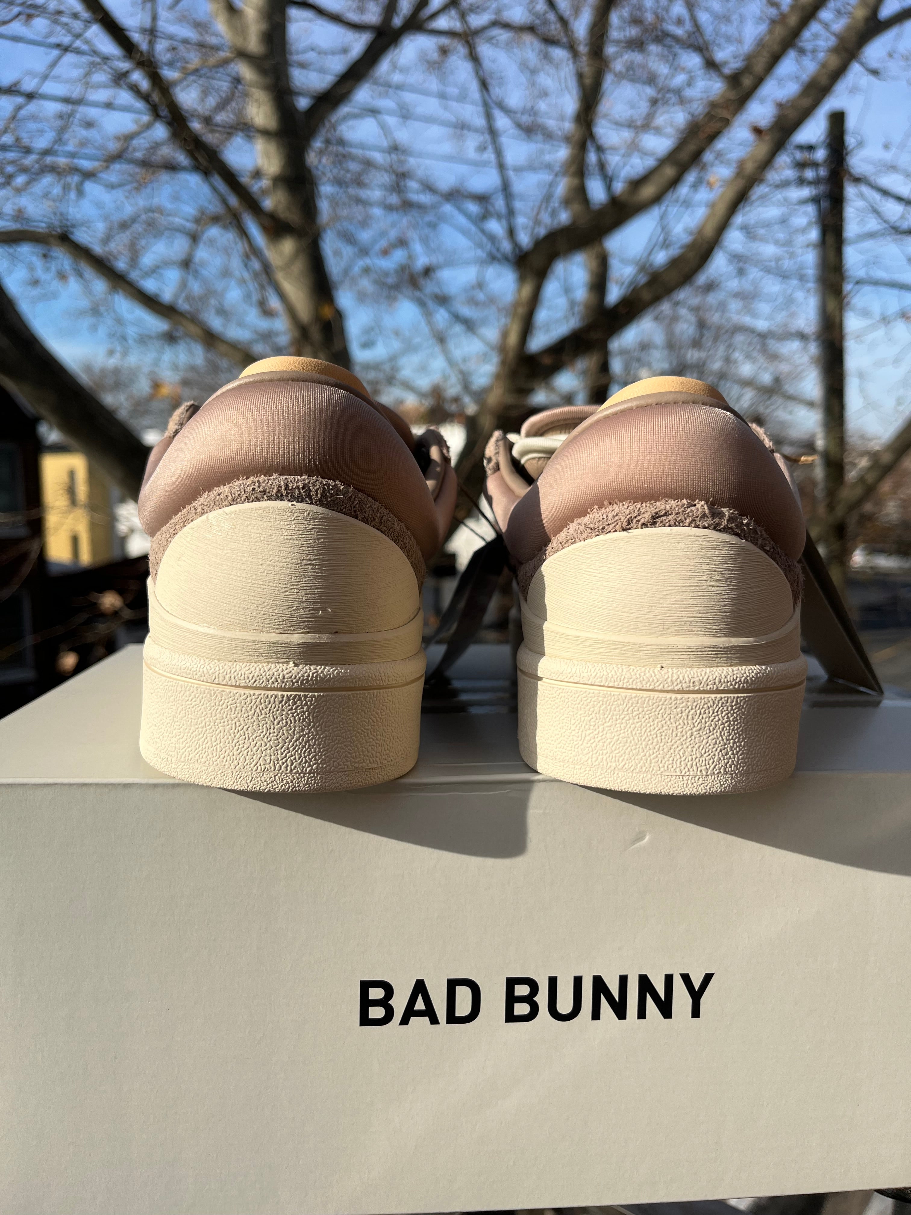 Adidas campus Bad Bunny CHALKY BROWN