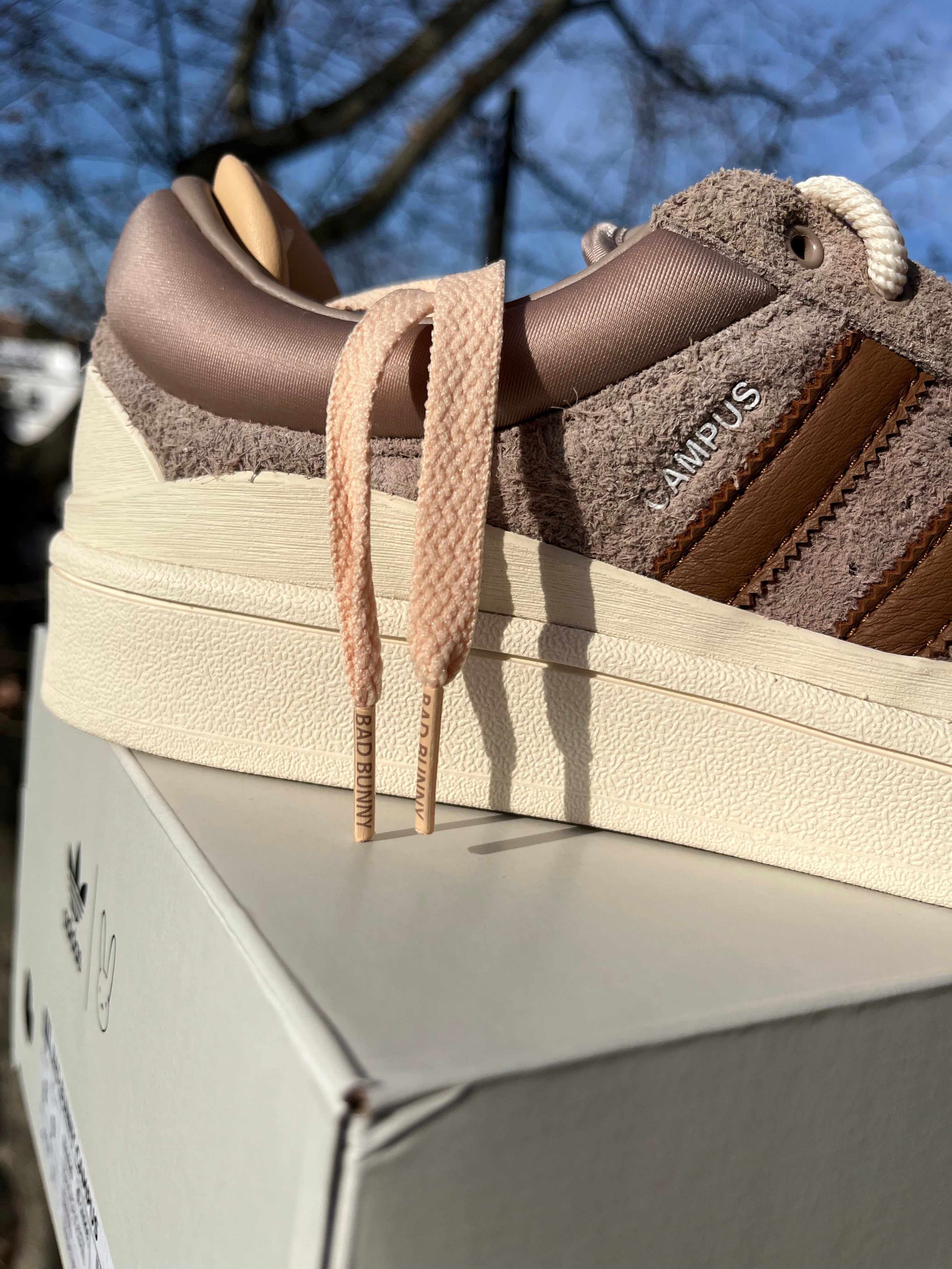 Adidas campus Bad Bunny CHALKY BROWN